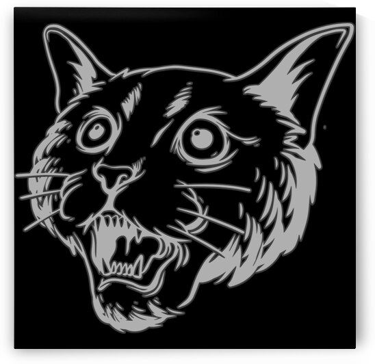 Cat head white by Bayu Perkasa