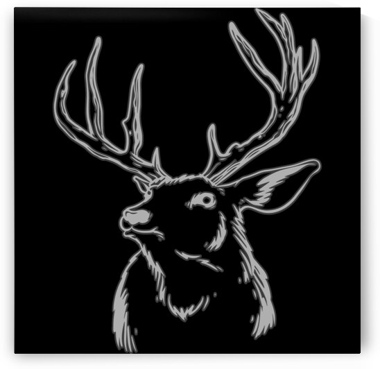 A deer head white illustration by Bayu Perkasa