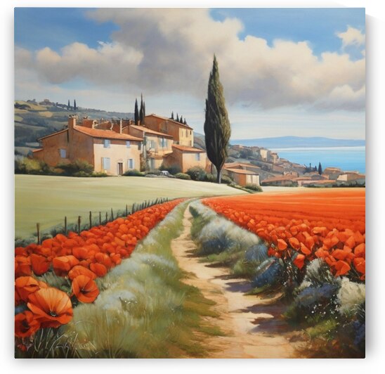 Champ de coquelicots  by DigitalStore212