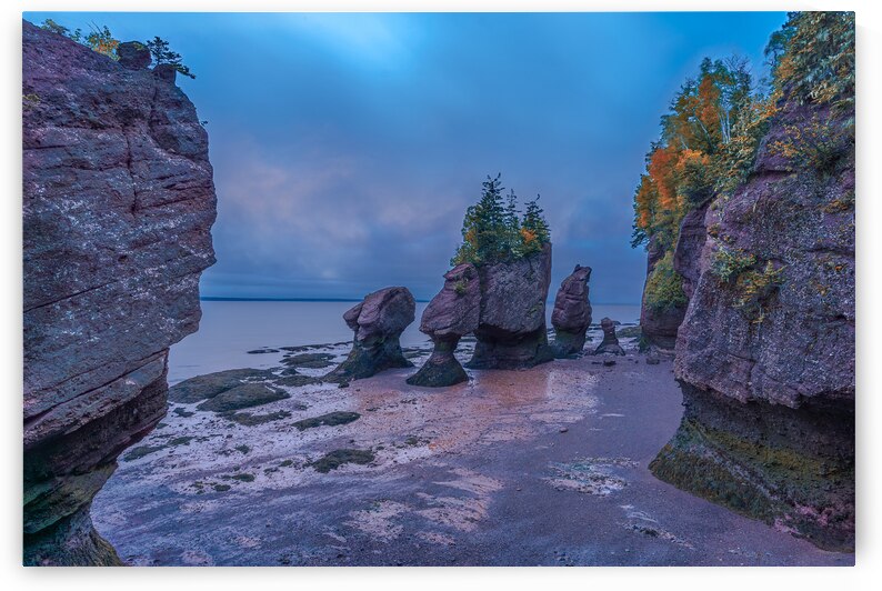 Low Tide by Geoffrey Prior