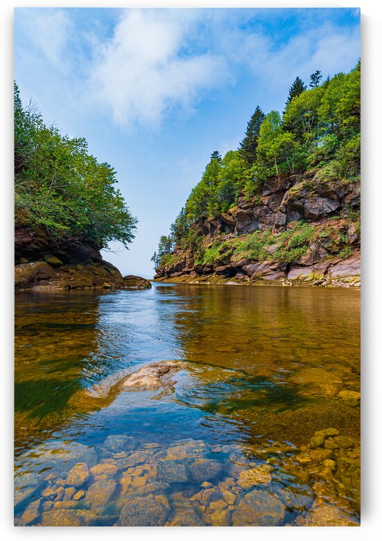 Bay of Fundi Water by Geoffrey Prior