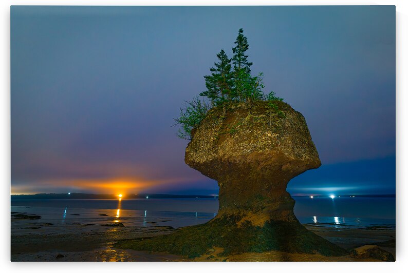 Hopewell Rocks Seastack by Geoffrey Prior