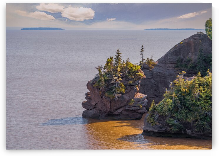 Hopewell Rocks Shoreline by Geoffrey Prior