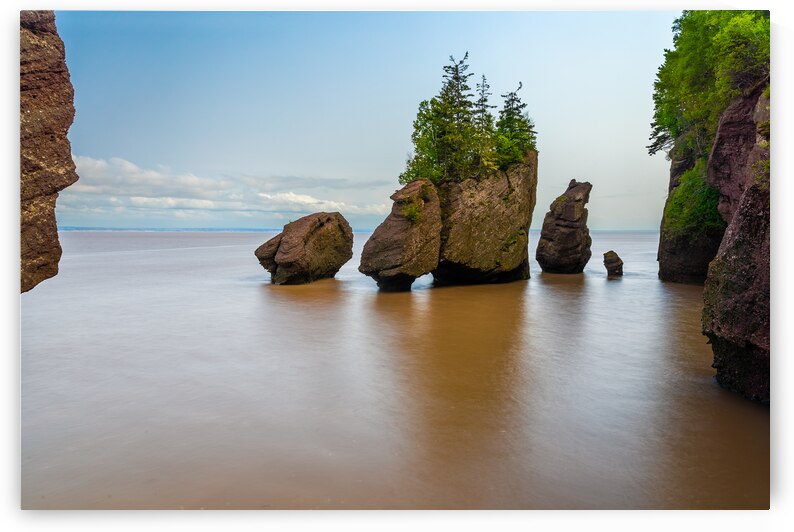 Hopewell High Tide by Geoffrey Prior