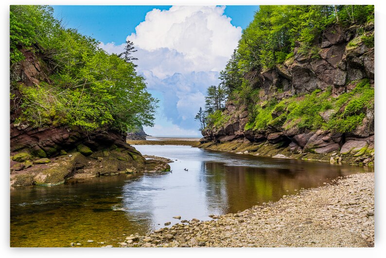 Bay of Fundi View by Geoffrey Prior