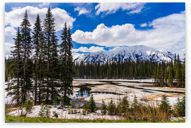 Cassier Highway View by Geoffrey Prior