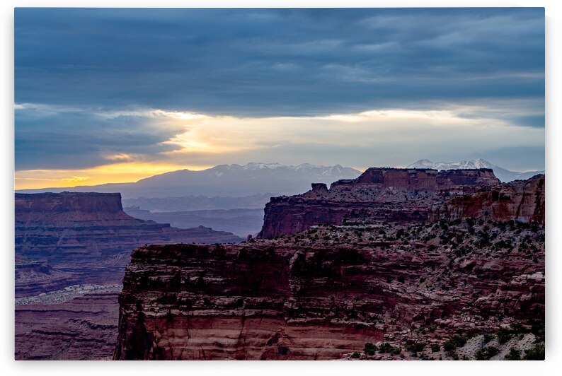 La Sal Mountains And Canyonlands Dawn by Jennifer White