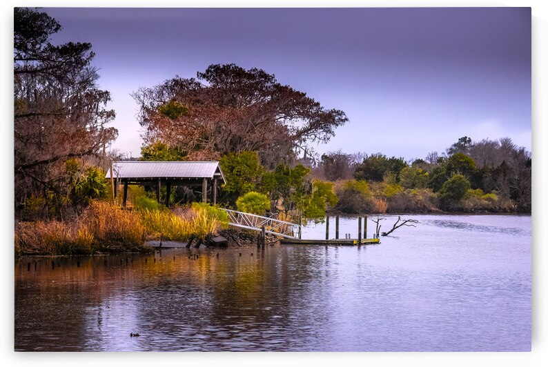 Georgia Altamaha River Butler Island  Plantation by Norma Brandsberg Photography
