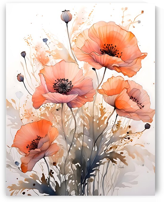 Poppies Ink Wash by Pabodie Art