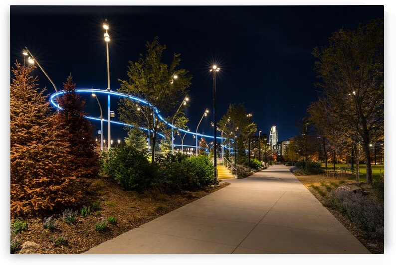 Skate Ribbon Omaha Night by Jennifer White