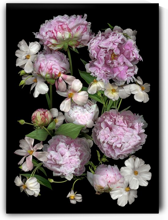   Peonies and Buttercups  by Jane Baron