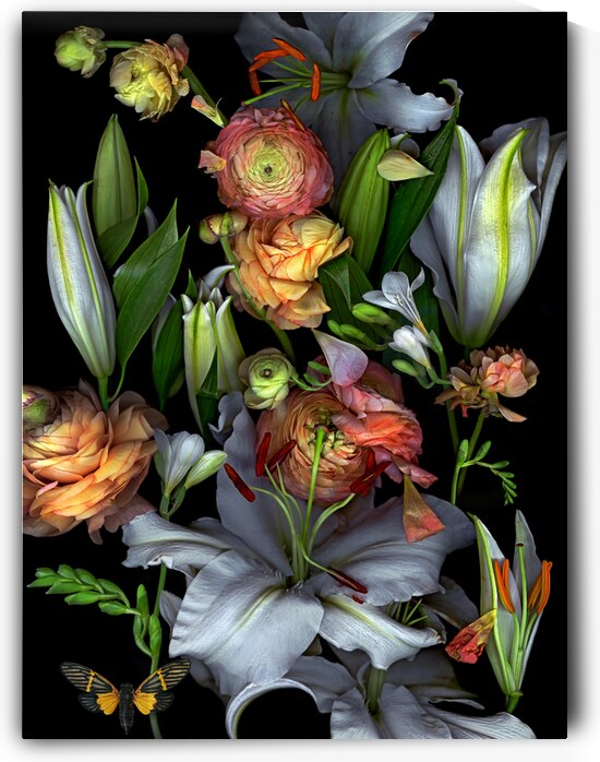 White Lilies and Ranunculus  by Jane Baron
