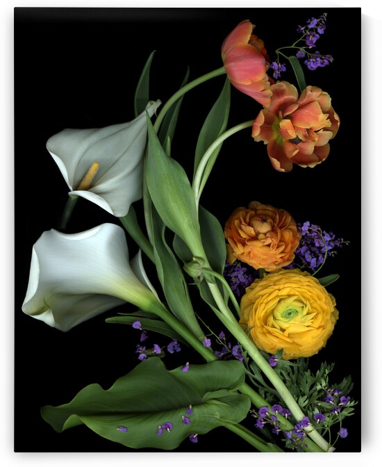 Ranunculus and Calla Lilies   by Jane Baron
