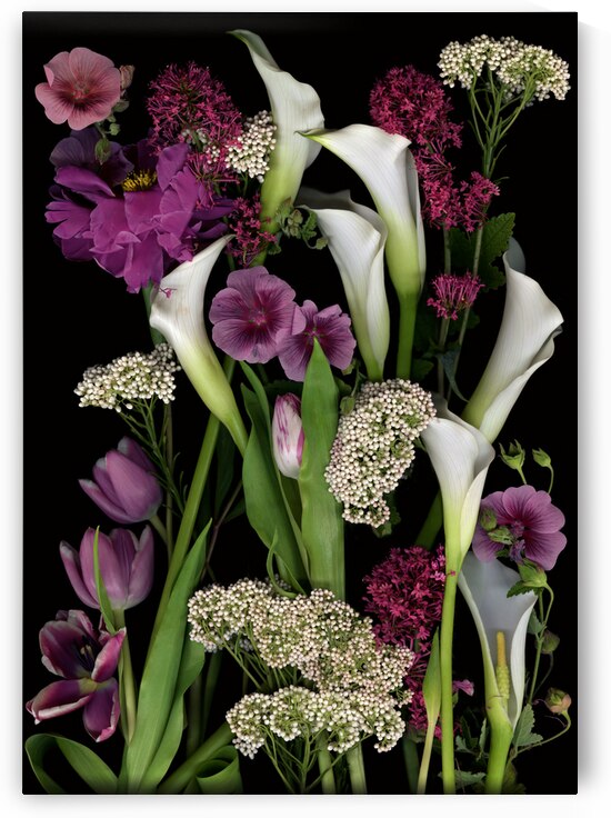 Callas and Tulips   by Jane Baron