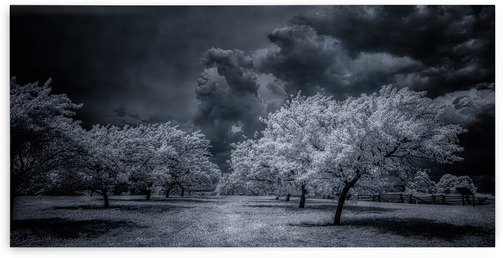 Illumination in Turmoil by Dream World Images