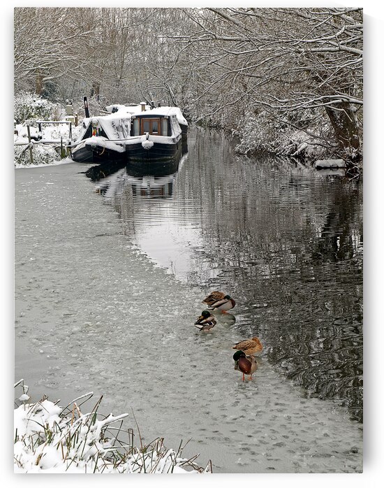 A Winters Day on the River by Gill Billington