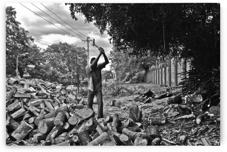 Chop by Riley Fine Art Photography