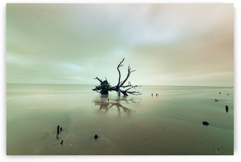 Botany Bay Sunrise Silhouette by Norma Brandsberg Photography