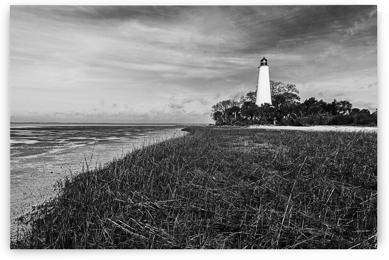 Low Tide at St. Marks Lighthouse by Andy Crawford