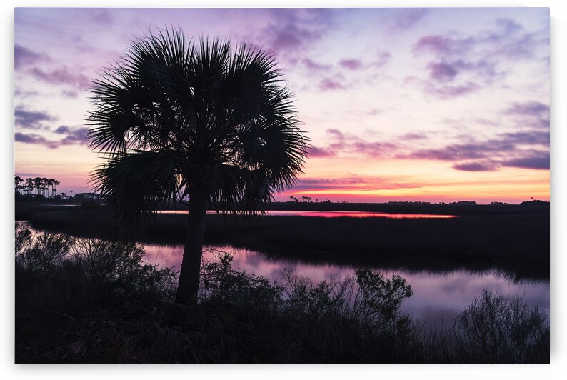 Sunrise at St. Marks National Wildlife Refuge by Andy Crawford