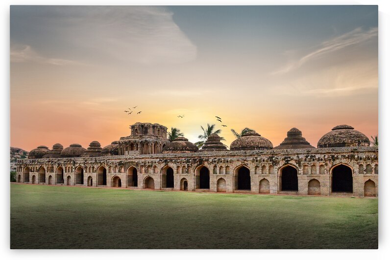 Elephants Stable by Dekel Bar