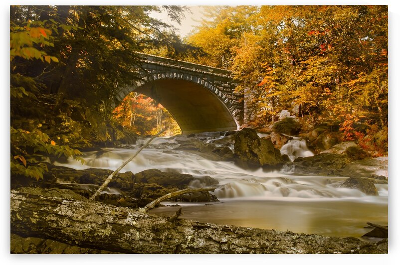 Profiles Falls Autumn  by dbg photo