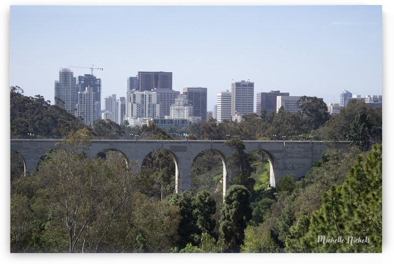 Bridge at the San Diego Zoo by Michelle Nichols