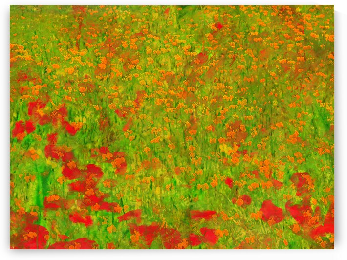 Lebanon s Meadow Stroll by Le Boulanger