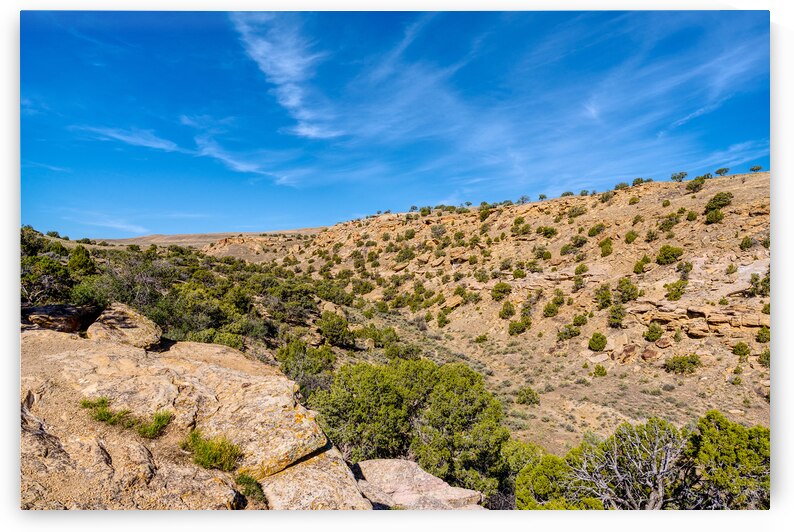 Scene From Harleys Dome View Area by Jennifer White