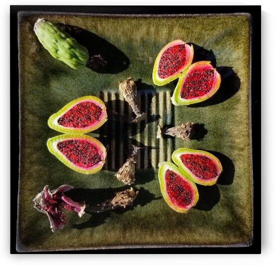 Plate of saguaro fruit and shriveled flowers by Creative Endeavors - Steven Oscherwitz
