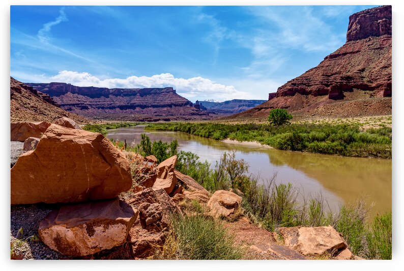 Colorado River In Utah by Jennifer White