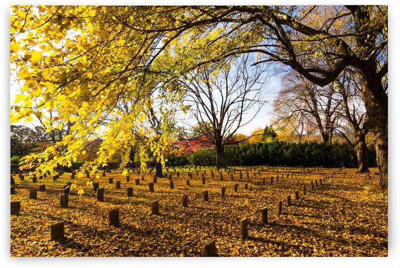 Lynchburg Old City Cemetery in Autumn by Norma Brandsberg Photography