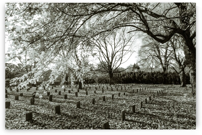 Lynchburg Old City Cemetery in Light Green by Norma Brandsberg Photography