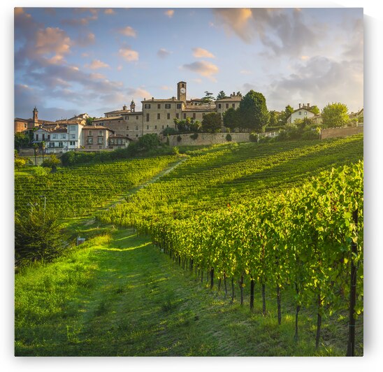 Neive village and Langhe vineyards. Italy. by Stefano Orazzini