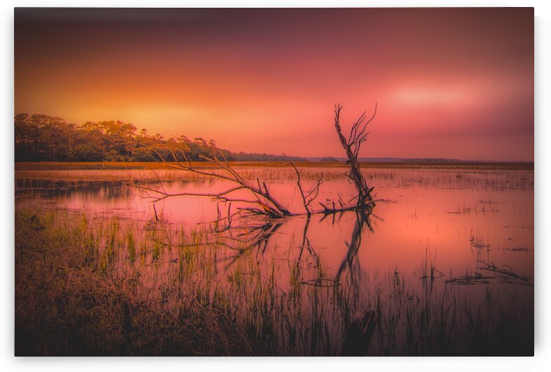 Edisto Island Marsh Daybreak by Norma Brandsberg Photography