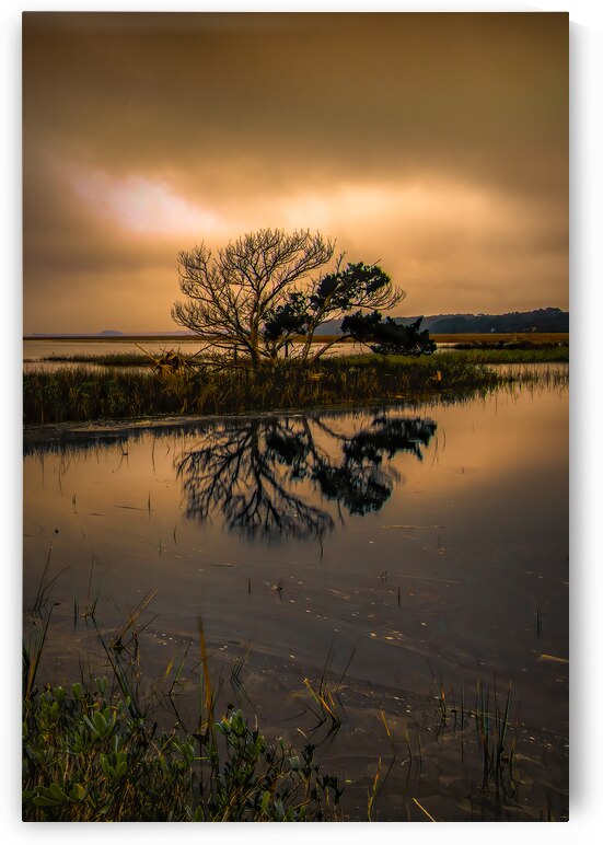 On the Low Country Horizon Silhouette by Norma Brandsberg Photography