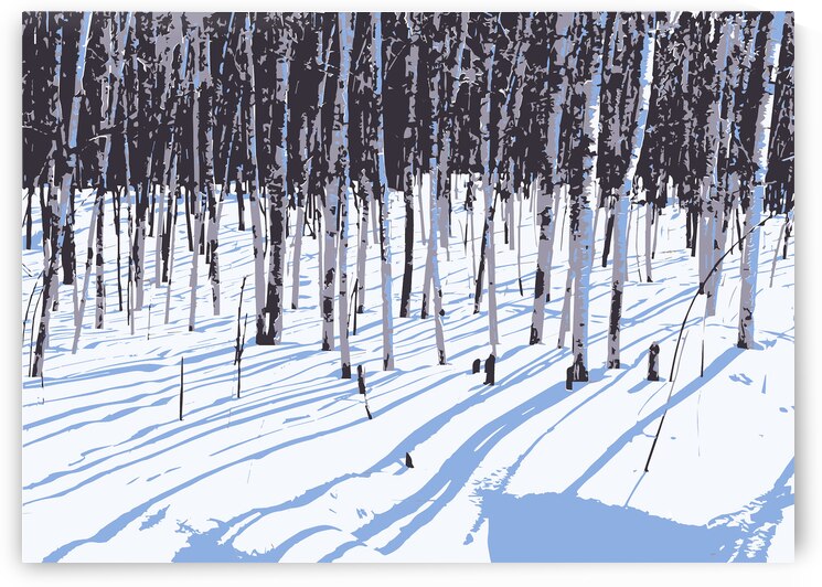 Birch Shadows on Snow by Joe Riederer