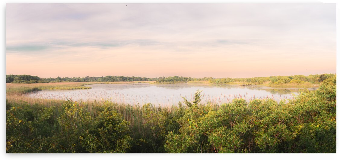 Bunker Pond June Landscape in Cape May by Jason Fink