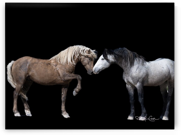 BZ9 3472 Enhanced NR 3 by Susan Lynn Cooke