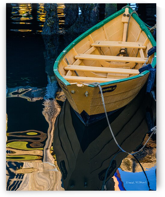 DORY IN DREAMLAND r45 by Daniel Baril