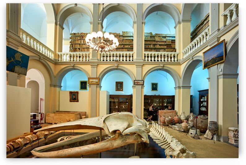 Salento. Apulia Puglia Italy. Gallipoli. Civic Museum Emanuele Barba by Marco Brivio