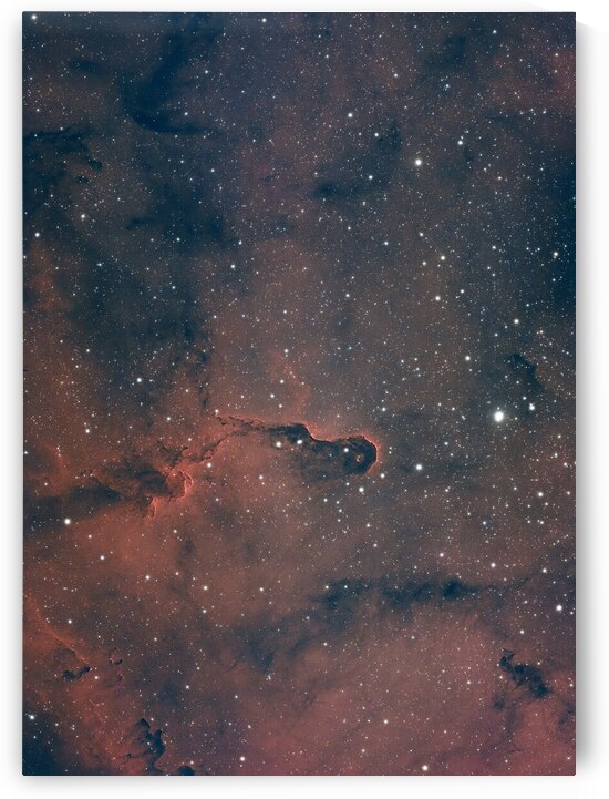 The elephants trunk nebula in Ha by Fletcher isaacs