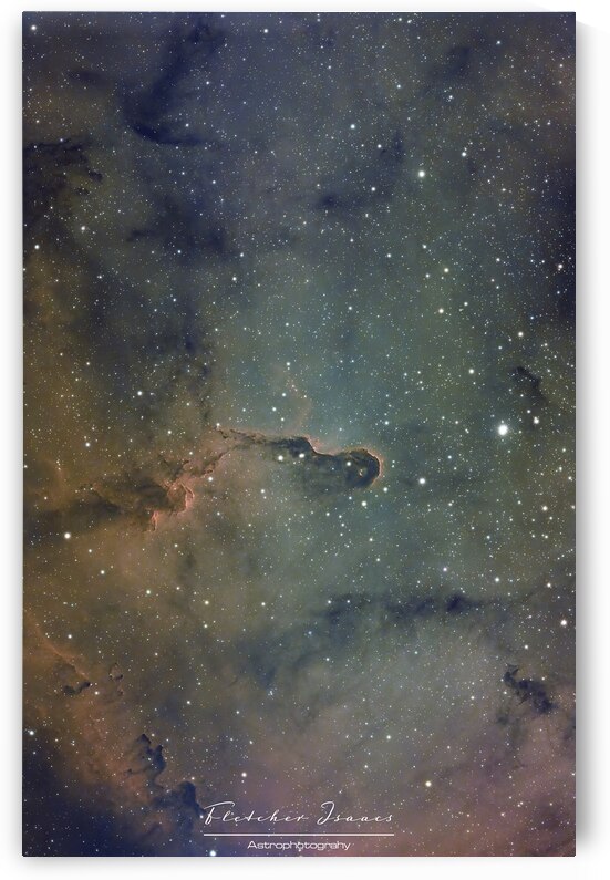 The elephants trunk nebula  by Fletcher isaacs