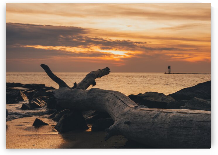 Higbee Beach Sunset and the Fallen Tree by Jason Fink