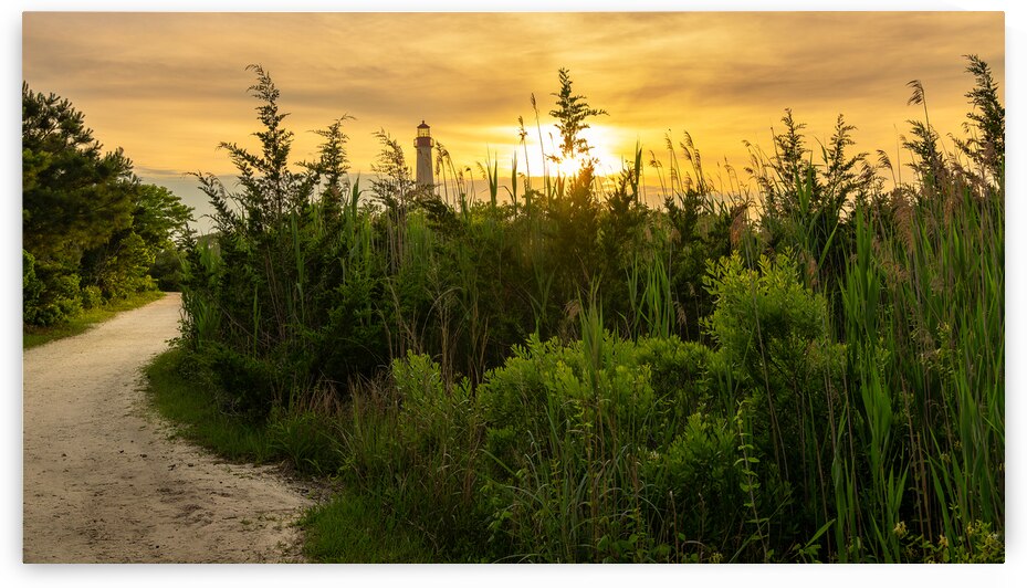 Cape May Lighthouse Sunset from the Blue Trail by Jason Fink