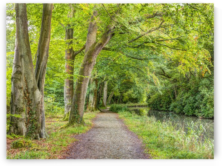 Path alongside Canal by Assaf Frank