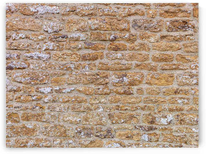 Brickwall by Assaf Frank