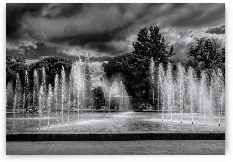 Frankfurt Botanical and Palmengarten Fountains by Norma Brandsberg Photography