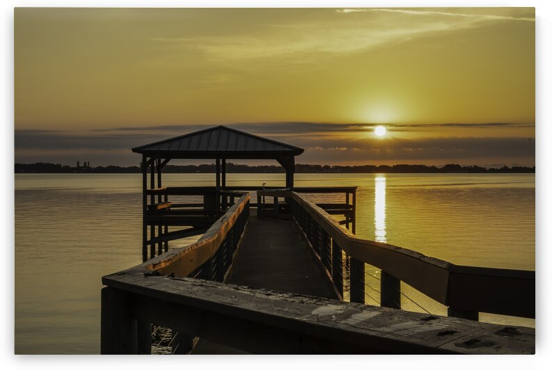 Golden dock by Kai Hoskins