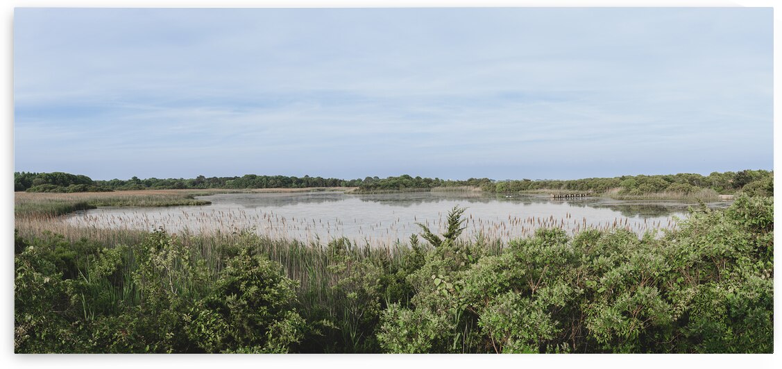 Bunker Pond - Deep Greens and Pastel Blue by Jason Fink